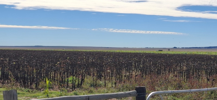 Commercial Property for Sale in Bloemfontein Rural Free State